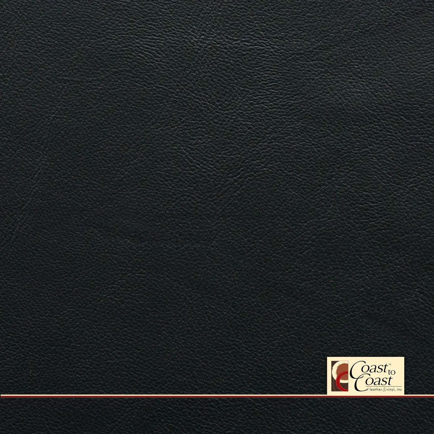 Navy Full Hide / Plain Leather